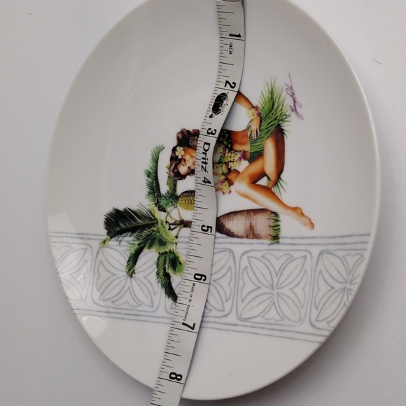 Hawaiian Plate - Picture 6 of 6